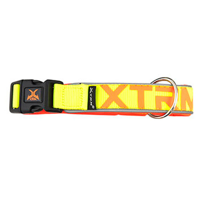 Nayeco X-TRM Neon Flash collar para perros limón image number null