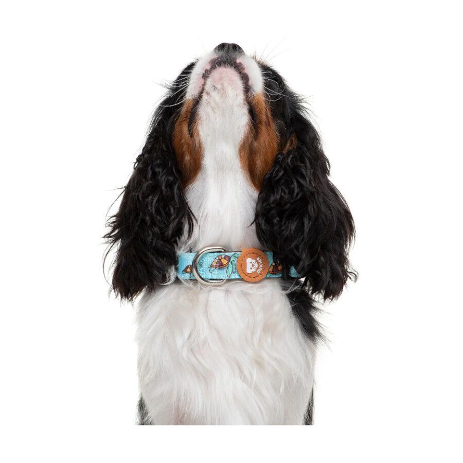 Dukier Collar Estampado Tortugas para perros thumbnail