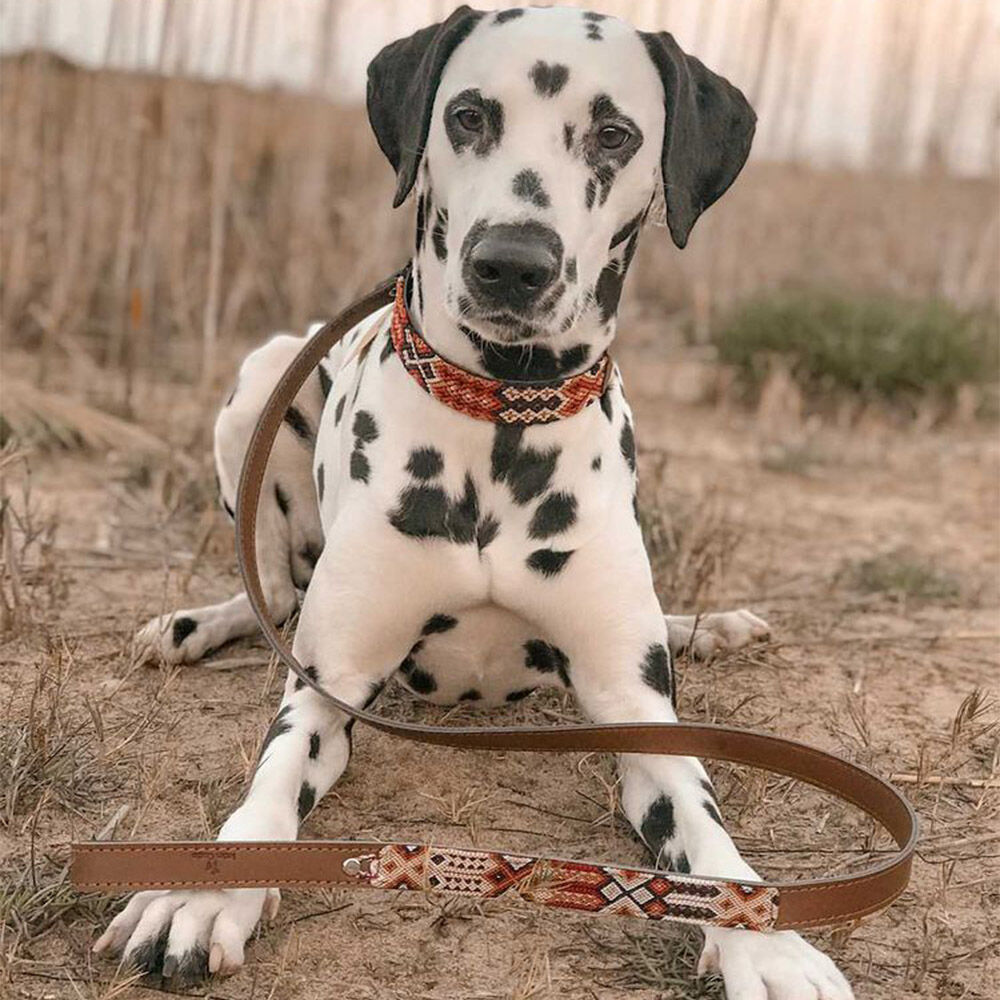 Ladran Gaucho Collar Chavo para perros, , large Imagen numero 2