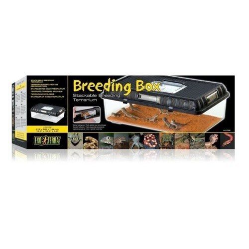 Exo Terra Breeding Box Terrario de pl&aacute;stico, , large Imagen numero 1
