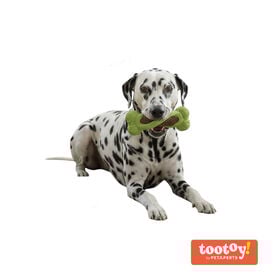 Tootoy! Hueso Mordedor Dental Verde y Marrón para perros