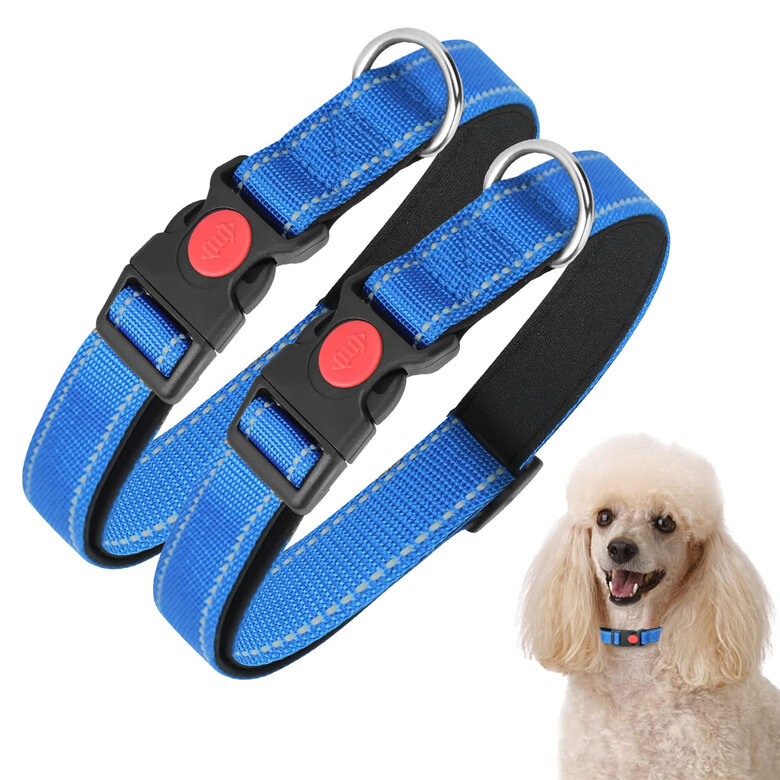 Collare Educativo Per Cani Piccoli E Medi - Cristallo E Acciaio Inox - Colore Blu/Rosa/Bianco - Foto 4