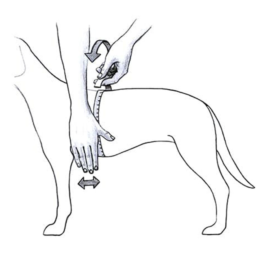 Julius-K9 IDC Arnés Rojo para perros thumbnail