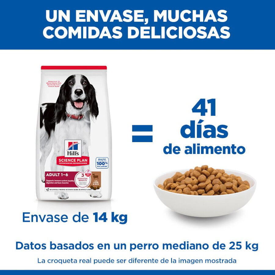 18 kg Hill's Science Plan Adult Medium Cordero y Arroz pienso para perros, , large Imagen numero 6