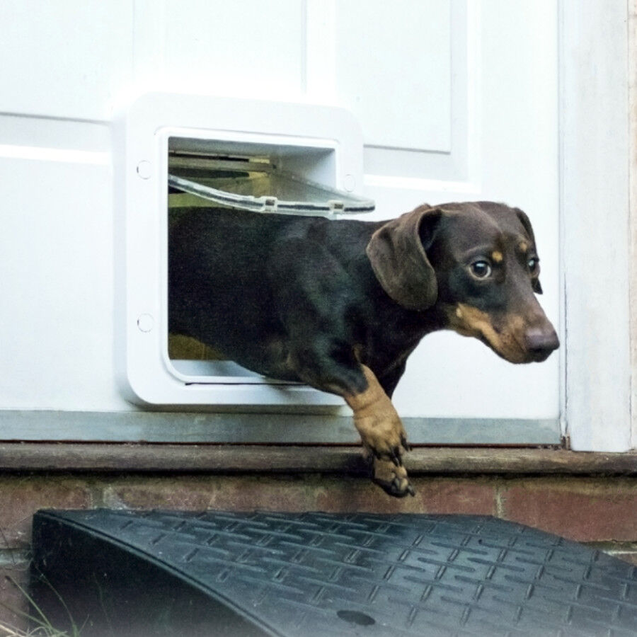 Sure Petcare SureFlap Puerta Autom&aacute;tica Blanca con Microchip, , large Imagen numero 5