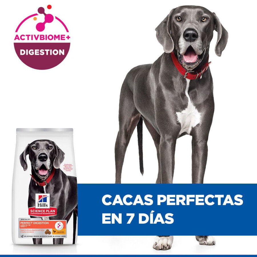 Hill&#039;s Science Plan Perfect Digestion Adult large Pollo pienso para perros thumbnail