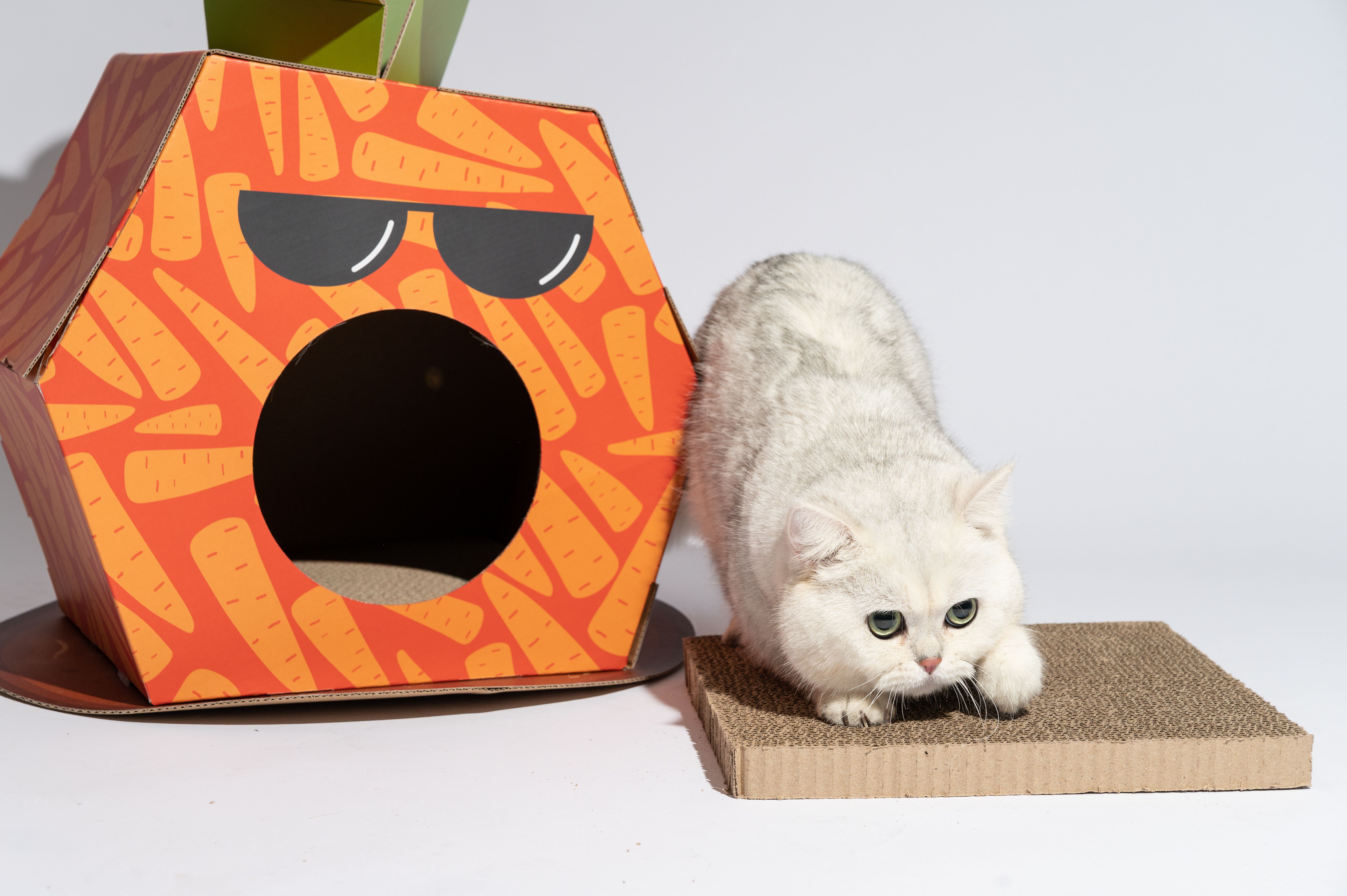 FOFOS | Caja de Cart&oacute;n Zanahoria con Panel Rascador - Para Gato, , large Imagen numero 5