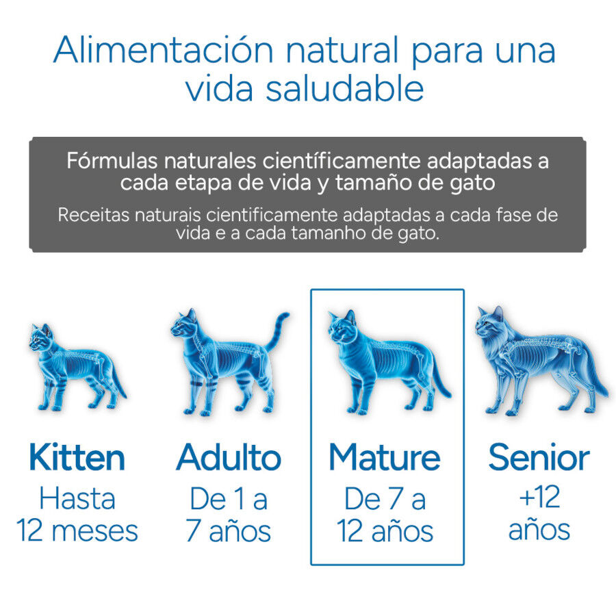 Criadores Cient&iacute;fico Mature +7 Pollo pienso para gatos, , large Imagen numero 11