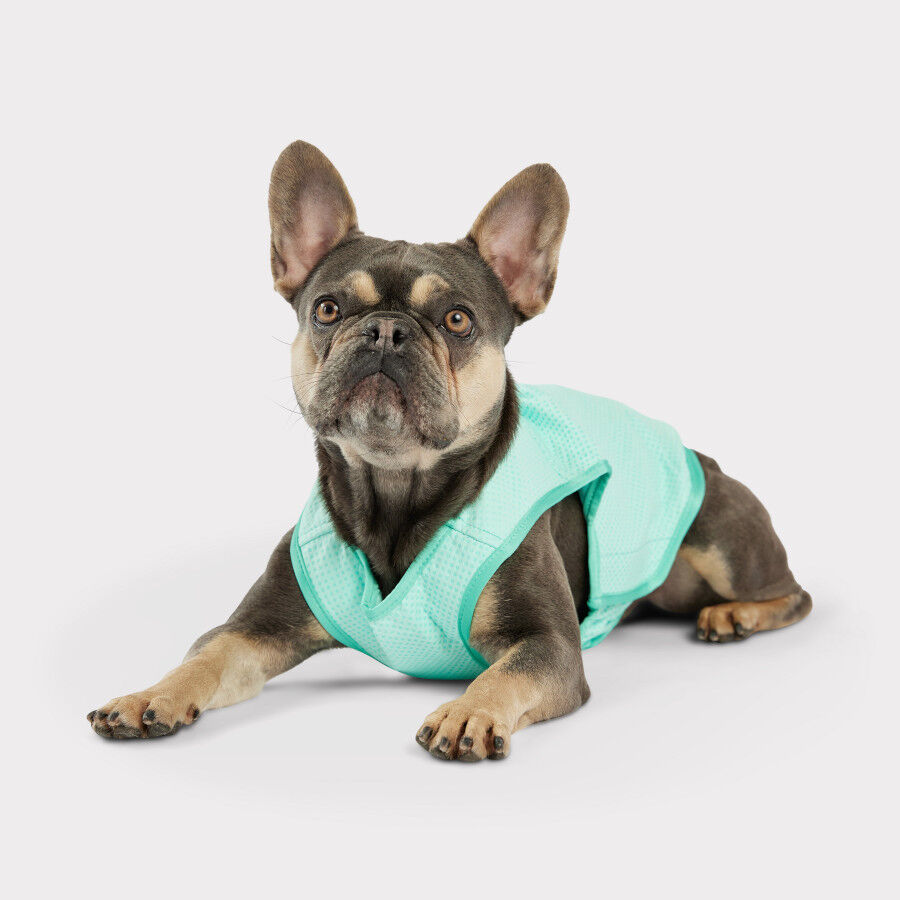 GF Pet ElastoFit Ice Vest Chaleco Refrescante para perros, , large Imagen numero 4