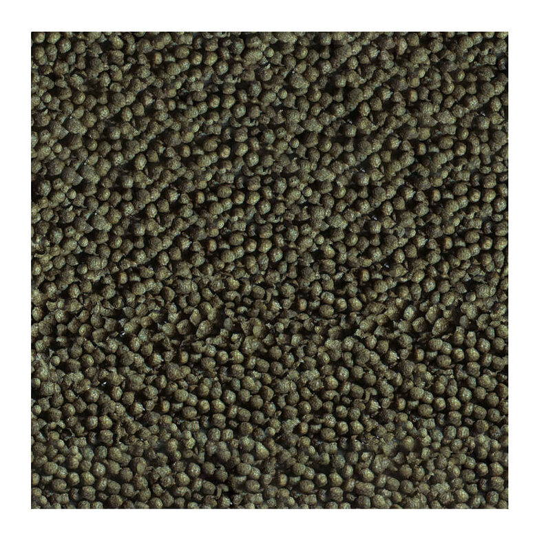 Sera Goldy Color Spirulina Nature Alimento para peces, , large image number null