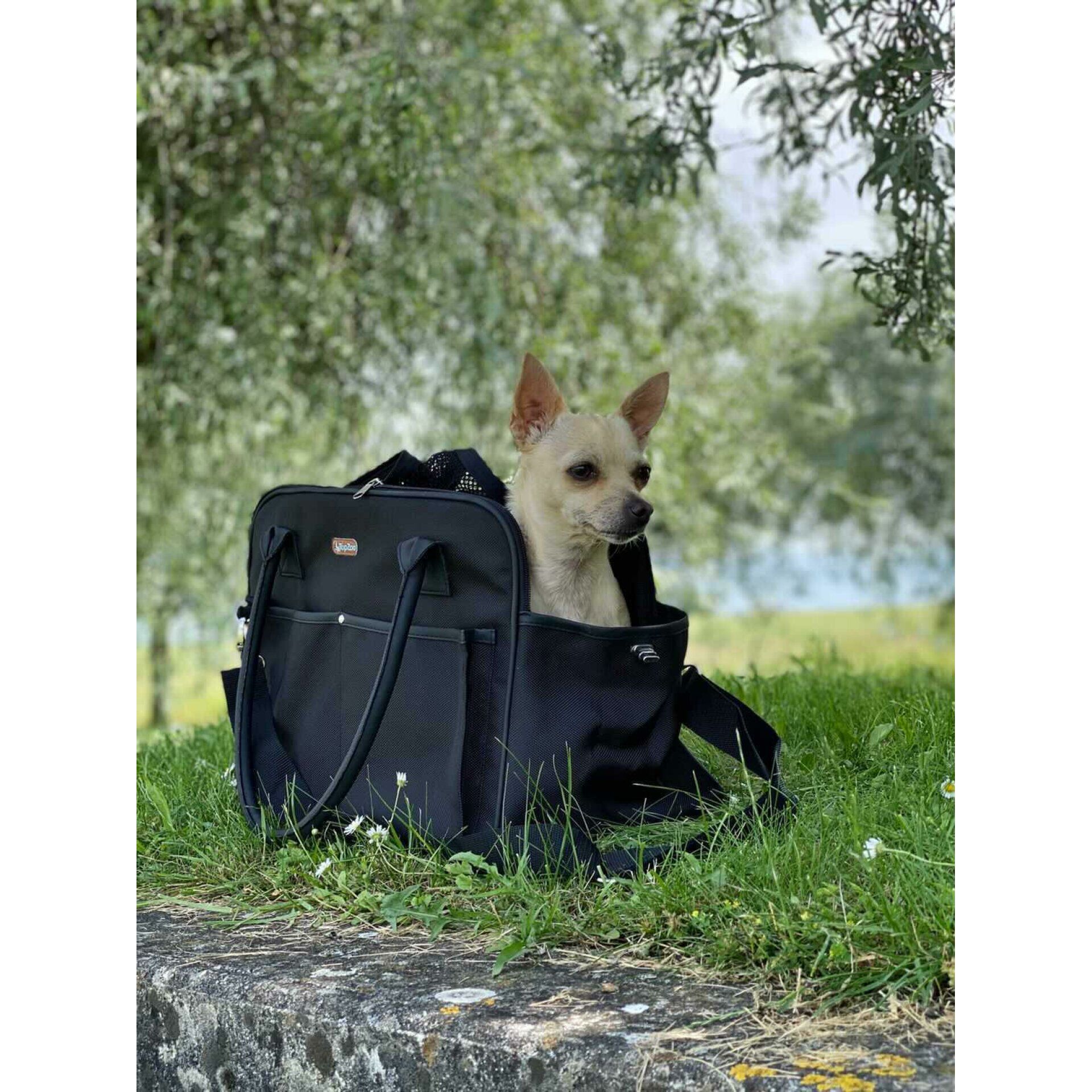Bolsa de de transporte, , large Imagen numero 2