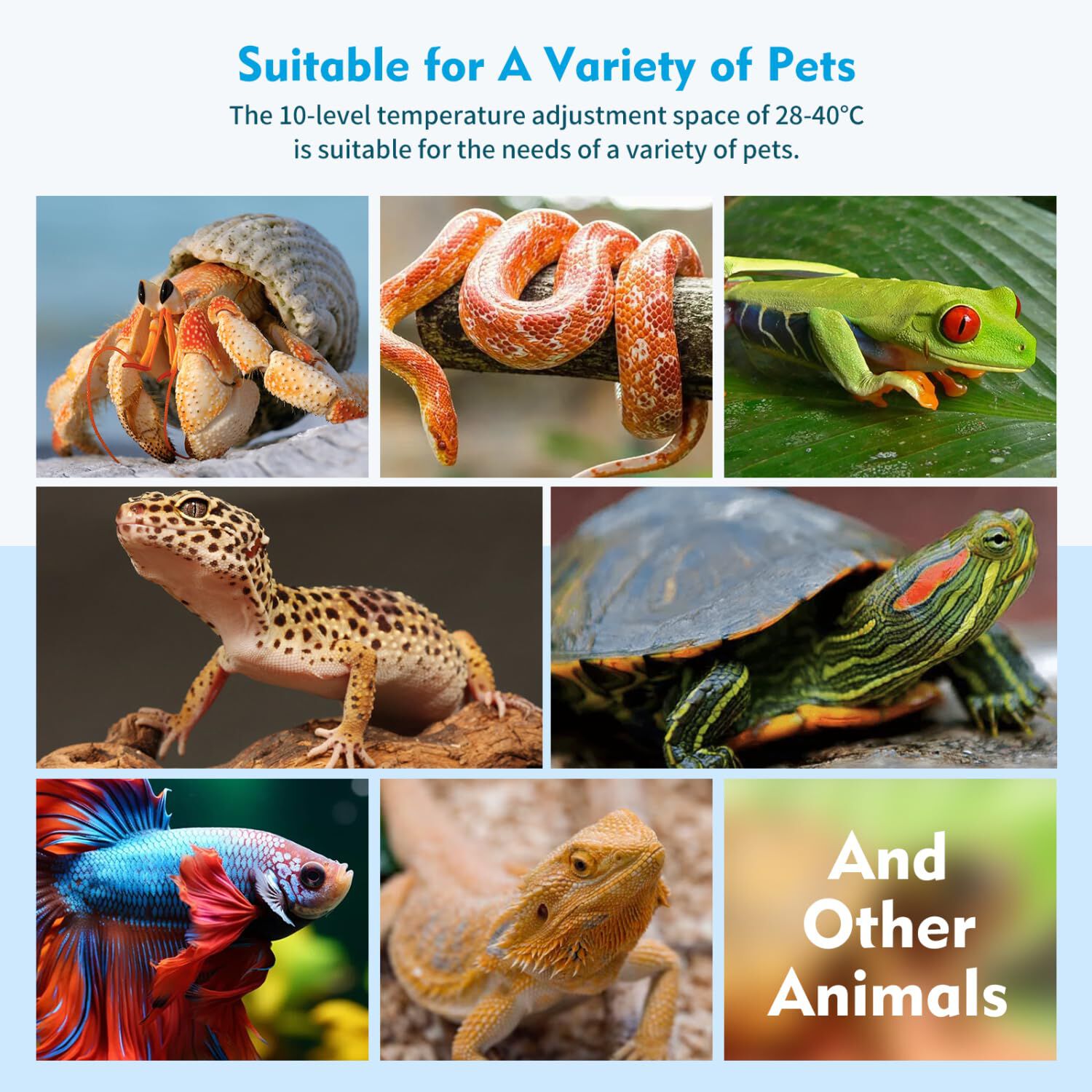 Nobleza Manta Térmica para reptiles thumbnail