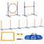 PawHut Set de Entrenamiento de Agilidad para Perros de 4 Piezas Juego de Agilidad para Perros con Piquetes para Slalom Zona de Reposo Valla y Anillo de Salto Naranja y Azul, , large indicador imagen numero 1