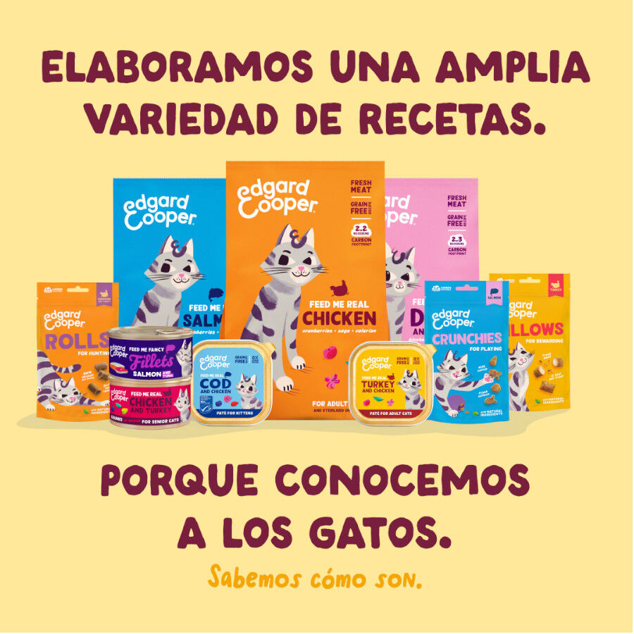 70 g Edgard & Cooper Filetes de Pollo y Pavo Lata para gatos, , large Imagen numero 8