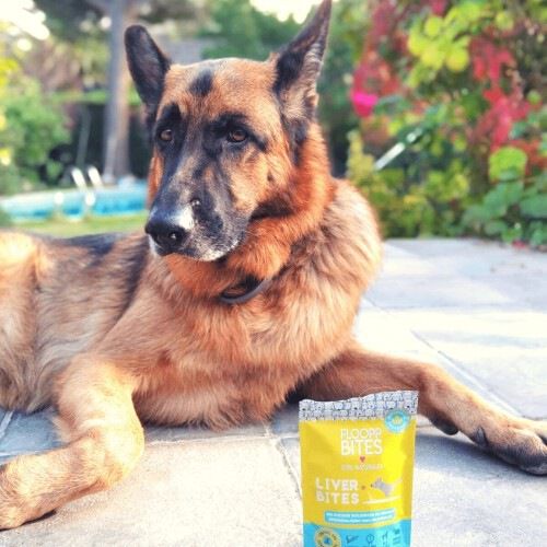 Snacks 100% naturales FlooppBITES Liver Bites sabor H&iacute;gado de Res, , large Imagen numero 3