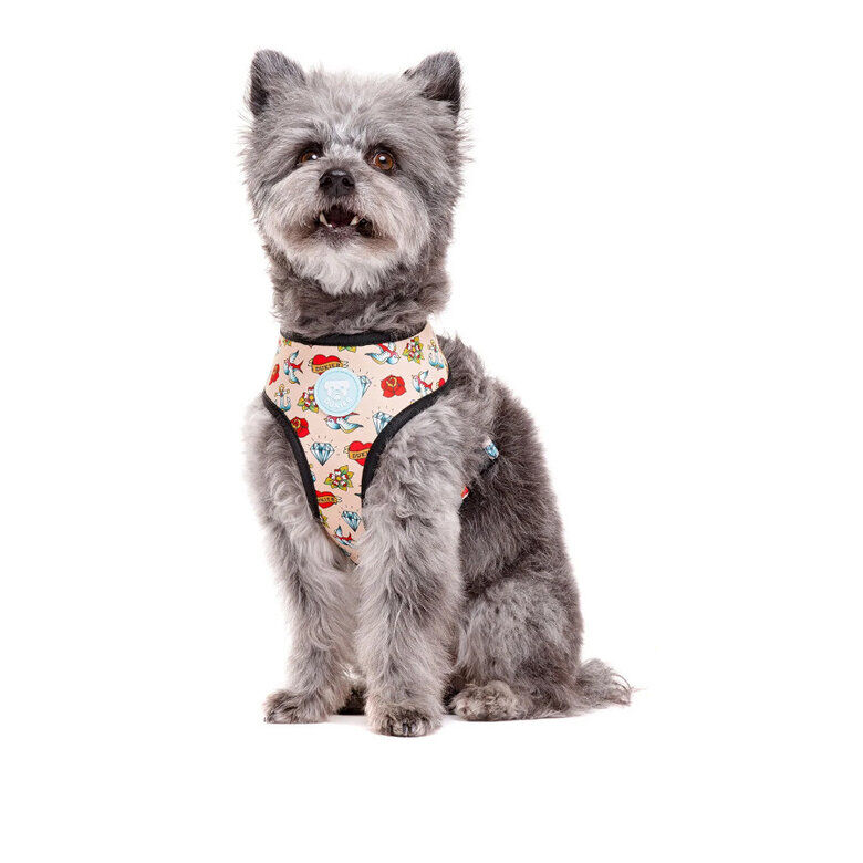 Dukier Arn&eacute;s Reversible Estampado Tattoo para perros, , large Imagen numero 2