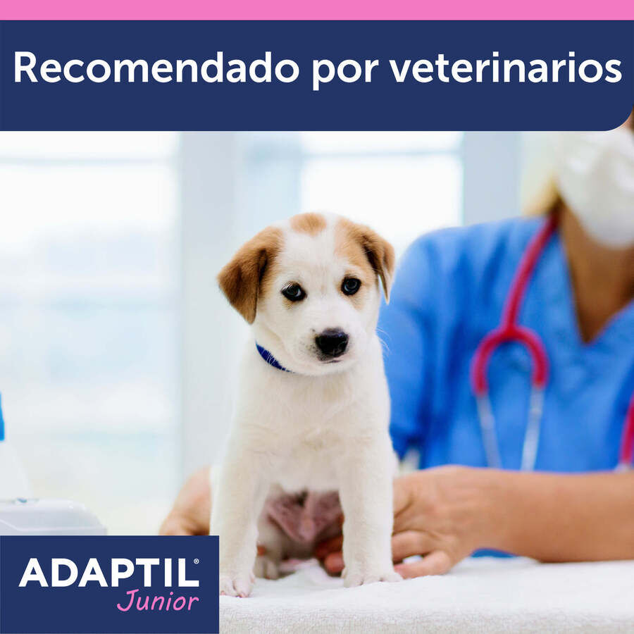 Adaptil Junior Collar Anti-estrés para perros thumbnail