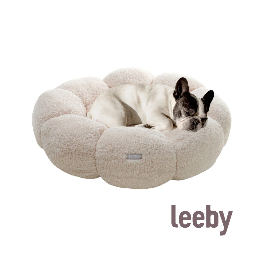 Leeby Sof&aacute; Flower Bed Beige para cachorros, , large Imagen numero 2