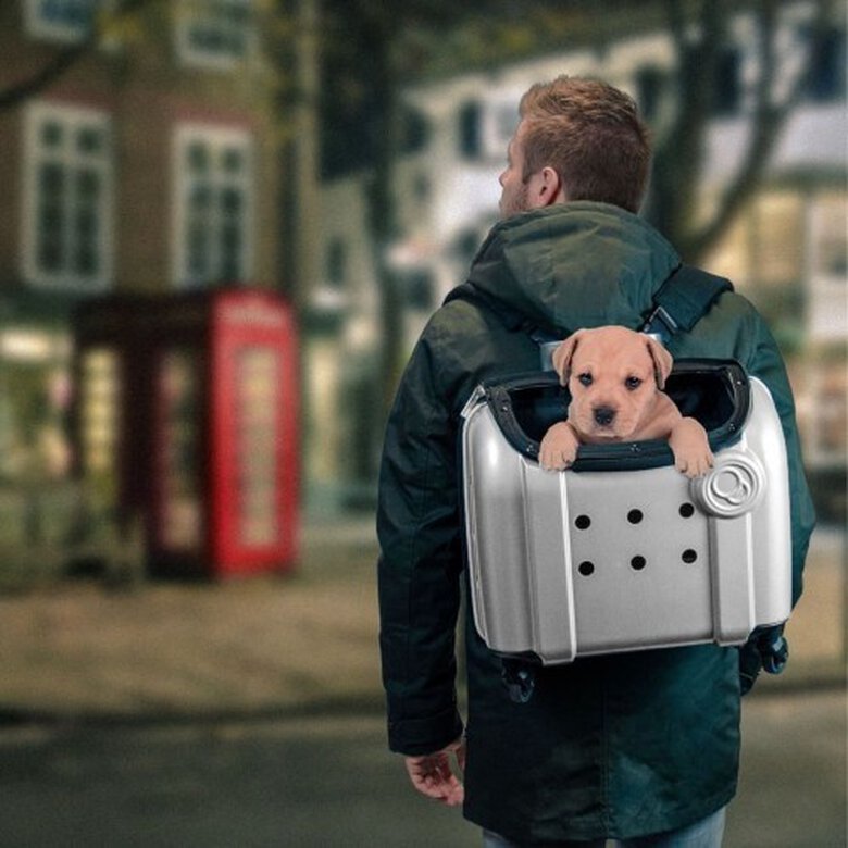 Trolley London para mascotas color Gris, , large image number null