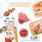 Snack liquido para gato Catit creamy con superalimentos pollo con Coco y Kale, 4x10g, , large image number null