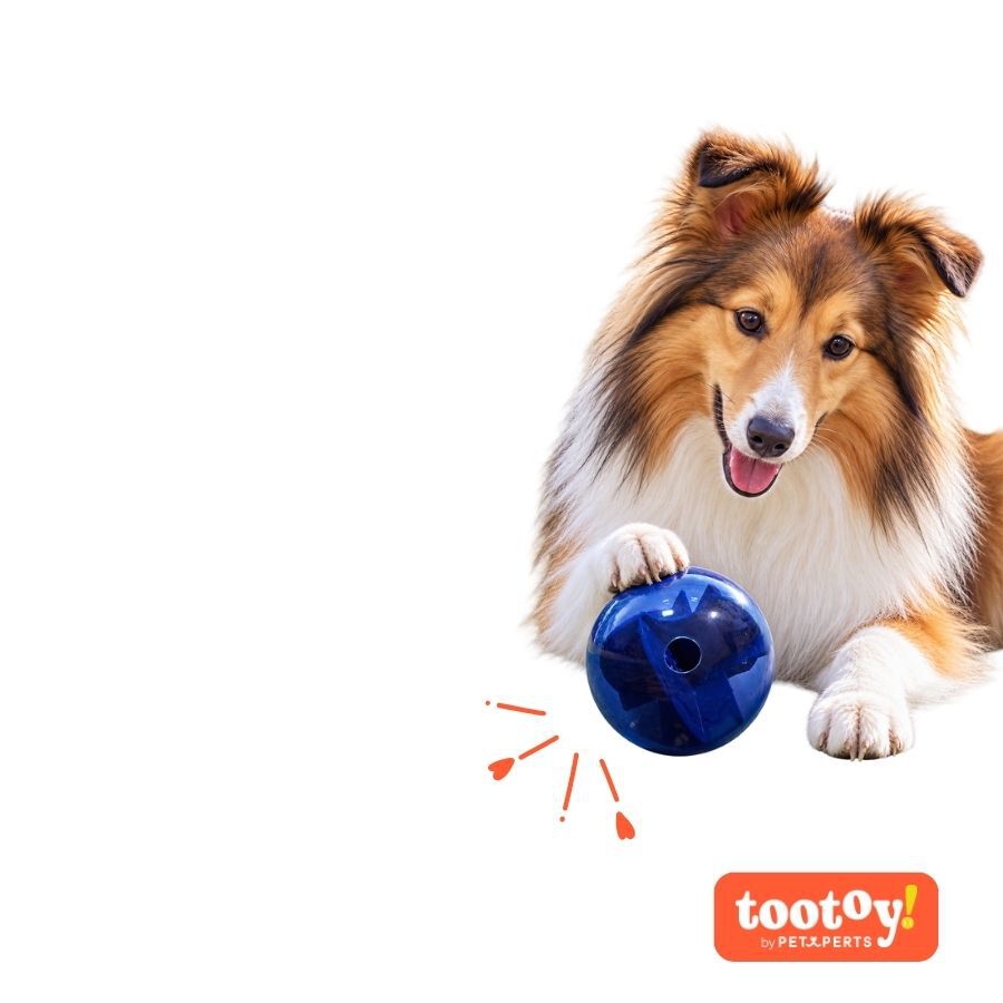 Tootoy! Explore Pelota Laberinto Recompensa Juguete para perros, , large Imagen numero 7