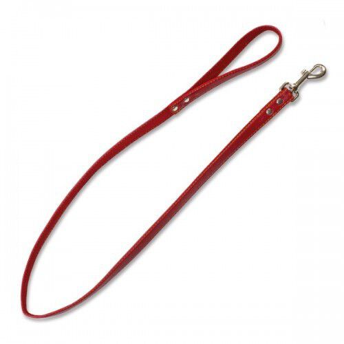 Correa piel huesitos color Rojo, , large Imagen numero 1