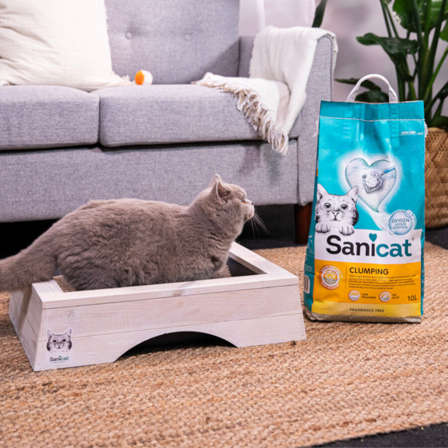 Sanicat Cumpling Arena Aglomerante sin perfume para gatos thumbnail