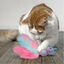 Kong Wubba Caticorn peluche para gatos, , large indicador imagen numero 2