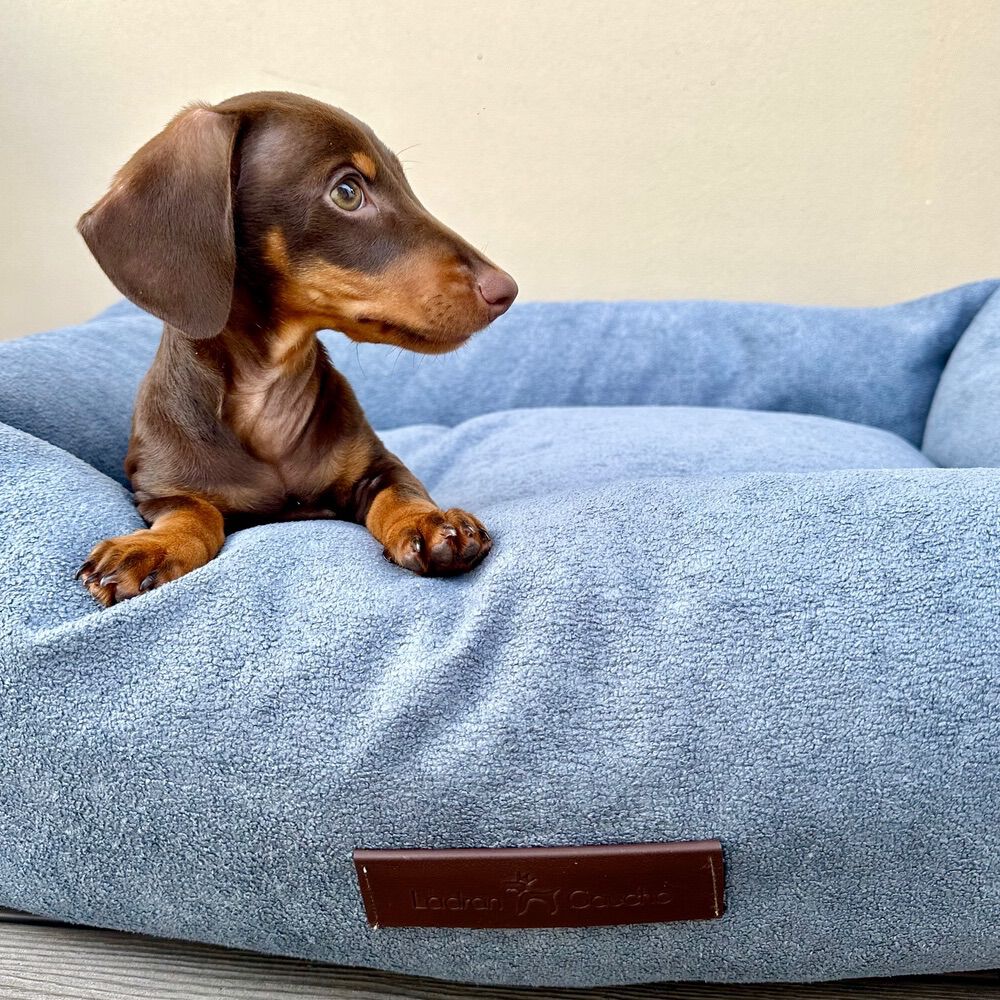 CAMA DE BORREGO NUBE - GRANDE, , large Imagen numero 3