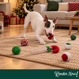 Wonder Christmas Bast&oacute;n de Caramelo Juguete para perros