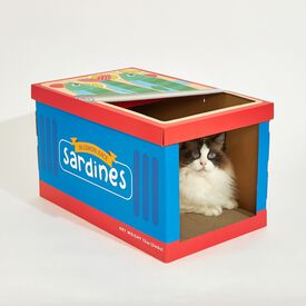 Rascado de cartón en Forma de Lata de Sardinas