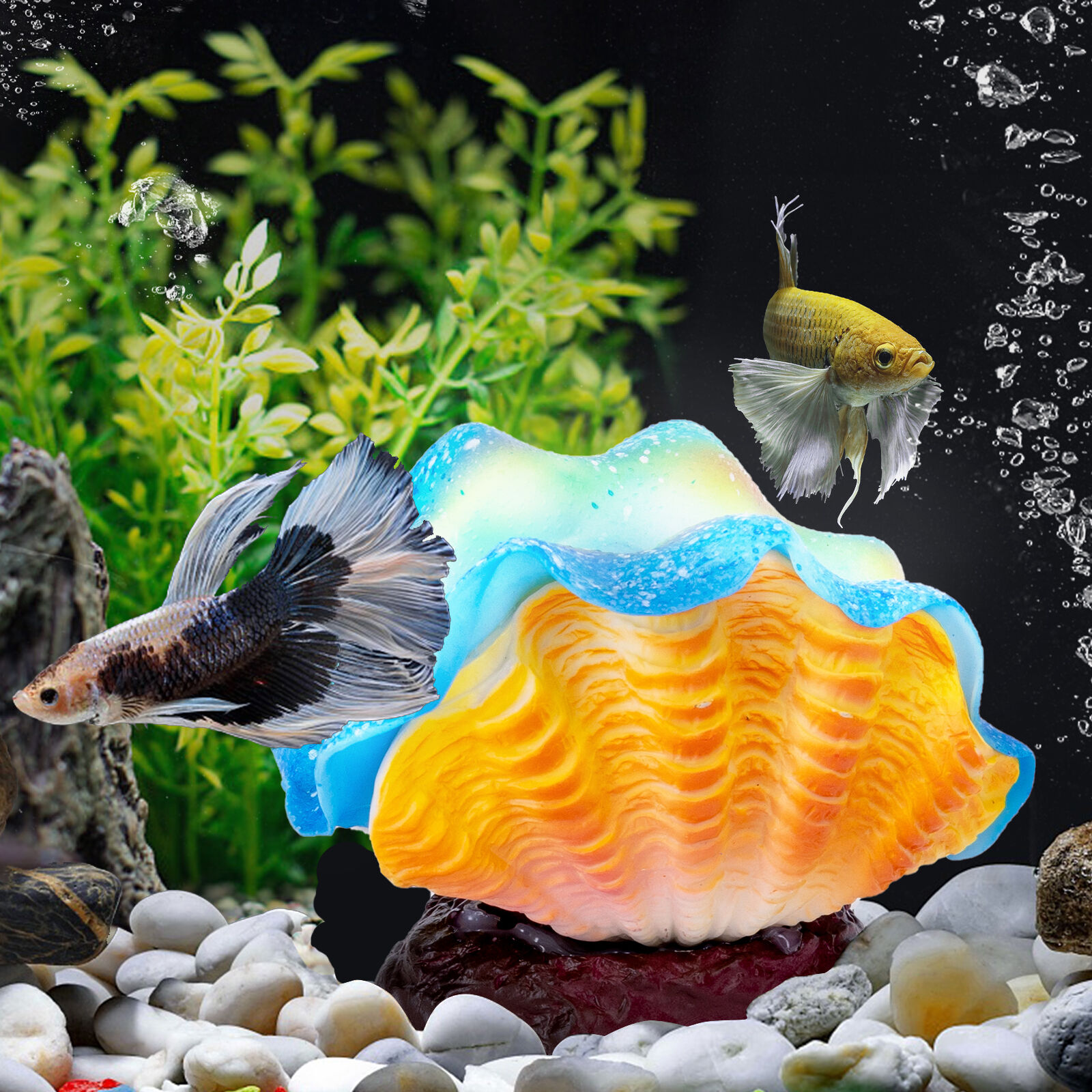Nobleza Plantas y conchas luminosas para peces thumbnail