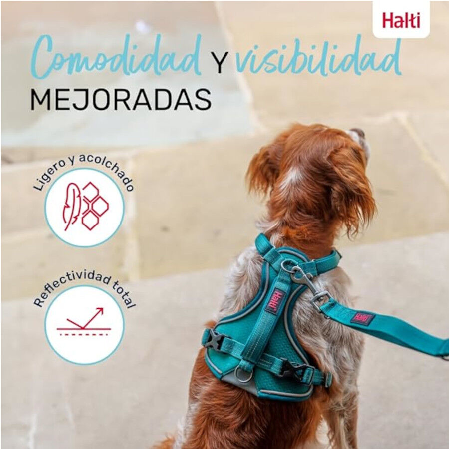 Halti arn&eacute;s anat&oacute;mico con asa azul verdoso para perros, , large Imagen numero 5