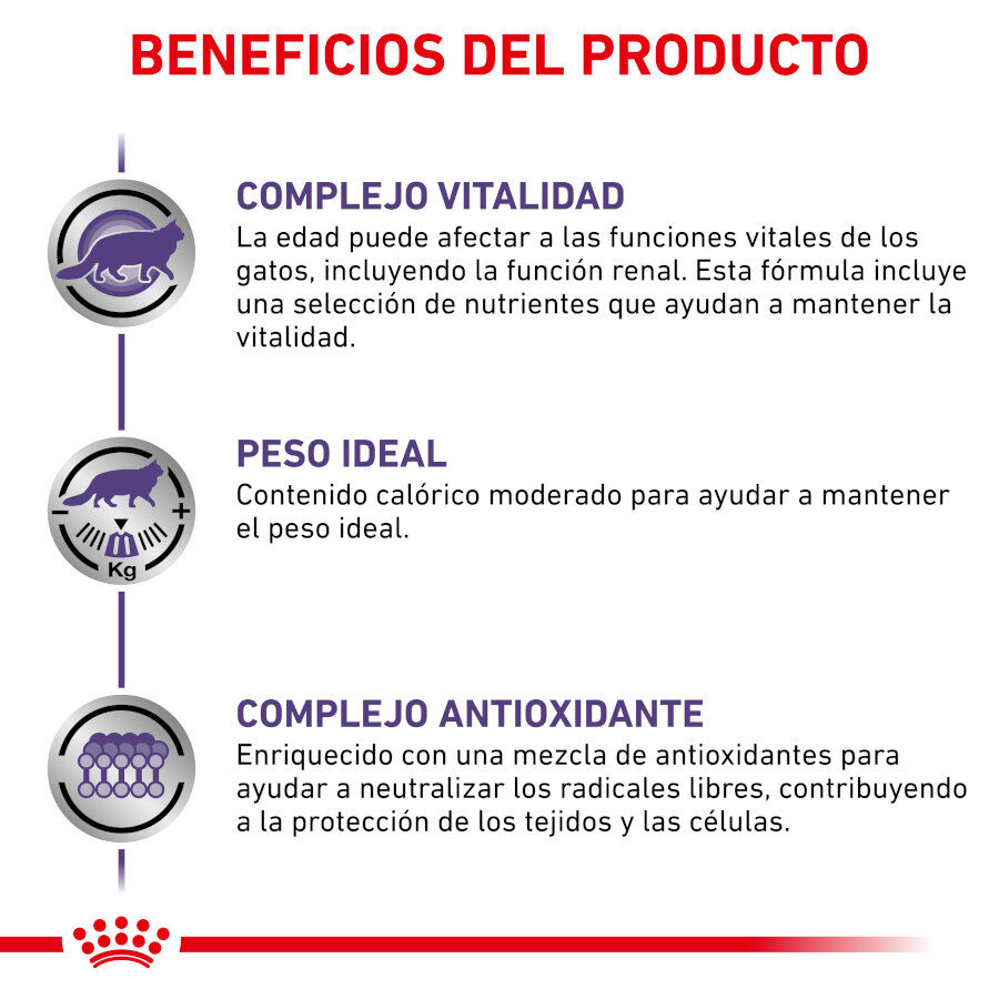 Royal Canin Mature Consult Balance Paté sobre para gatos thumbnail