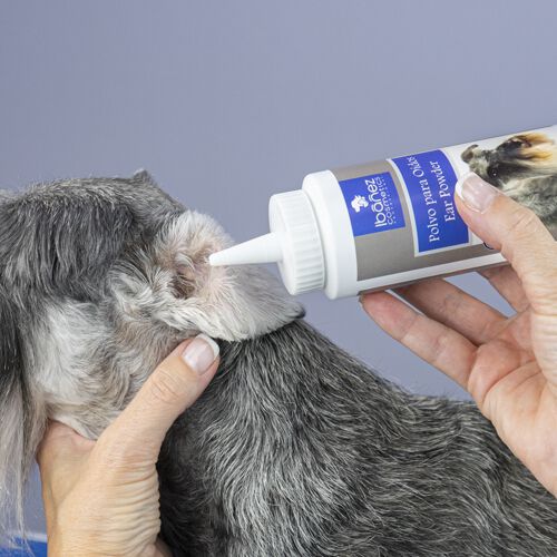 Polvo para o&iacute;dos Ib&aacute;&ntilde;ez, , large Imagen numero 2