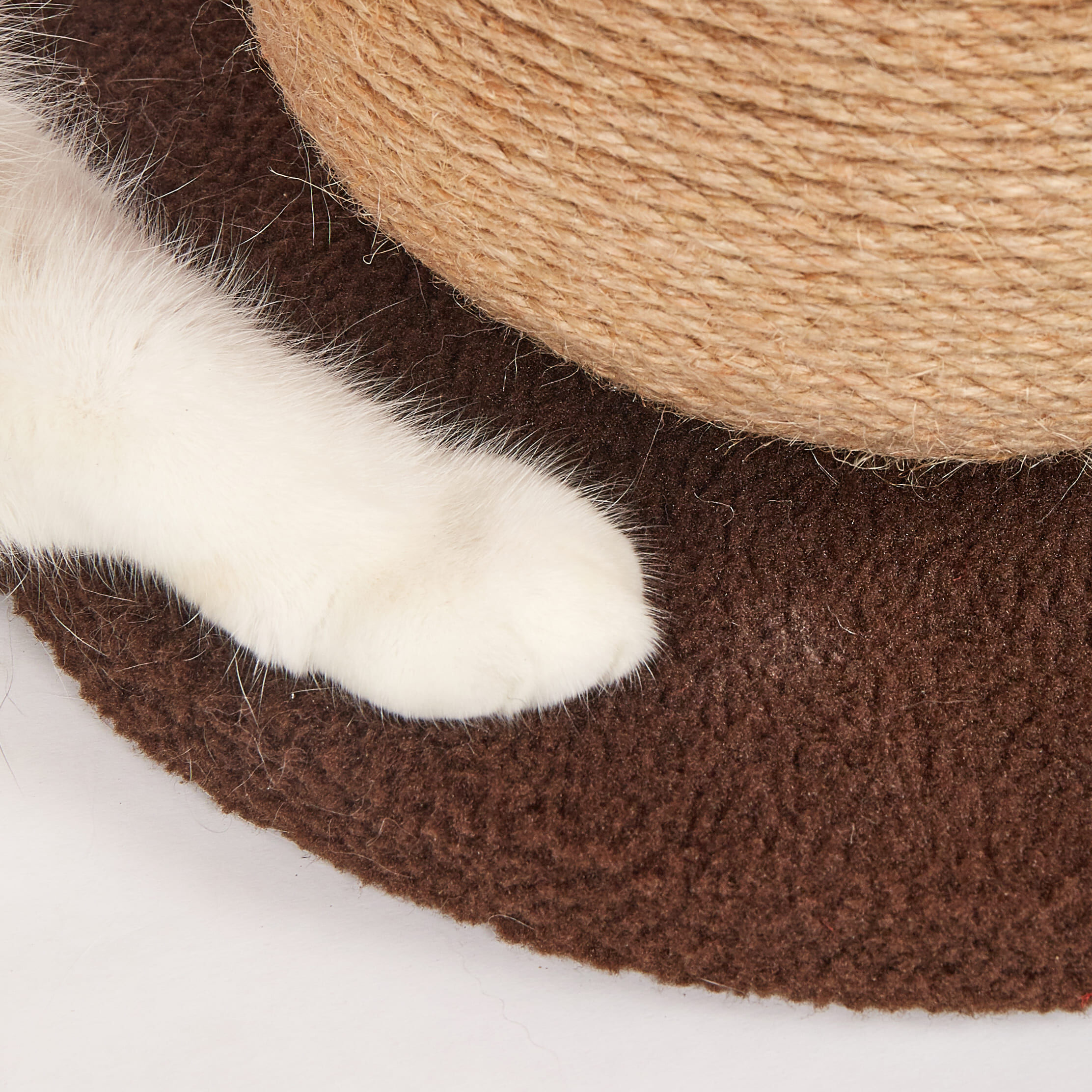 FOFOS | Rascador Setas - Para Gato, , large Imagen numero 3