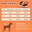 Nobleza - Chaleco Salvavidas para Perros， Flotador Perro con Tiras Reflectantes， Chaleco de Natación para Perro con Alta Flotabilidad y Mango de Rescate Duradero para Nadar， Surf， Navegar， Naranja(S), , large indicador imagen numero 2