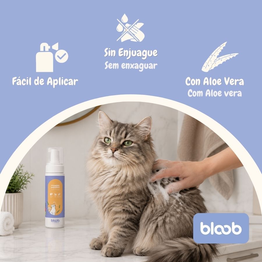 Bloob Champ&uacute; Seco en Espuma para gatos, , large Imagen numero 3
