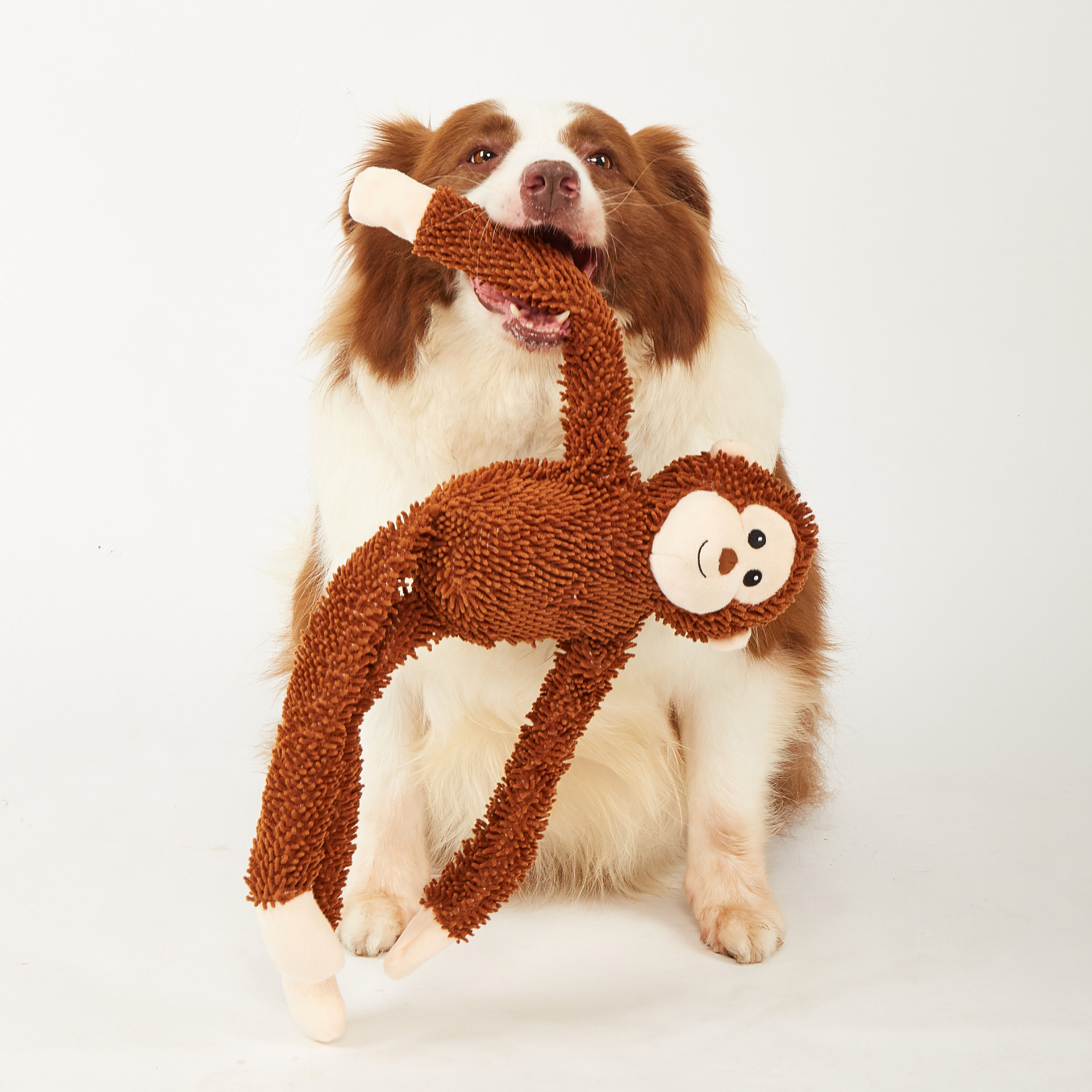Juguete Resistente para Perro &ndash; Mono de Cuerpo Largo, , large Imagen numero 2