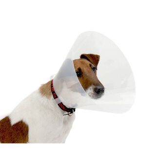 Cono de plástico clásico para perros y gatos 