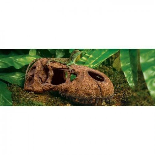 Exo Terra t-rex calavera decorativa para terrarios thumbnail