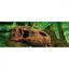 Exo Terra t-rex calavera decorativa para terrarios, , large indicador imagen numero 2