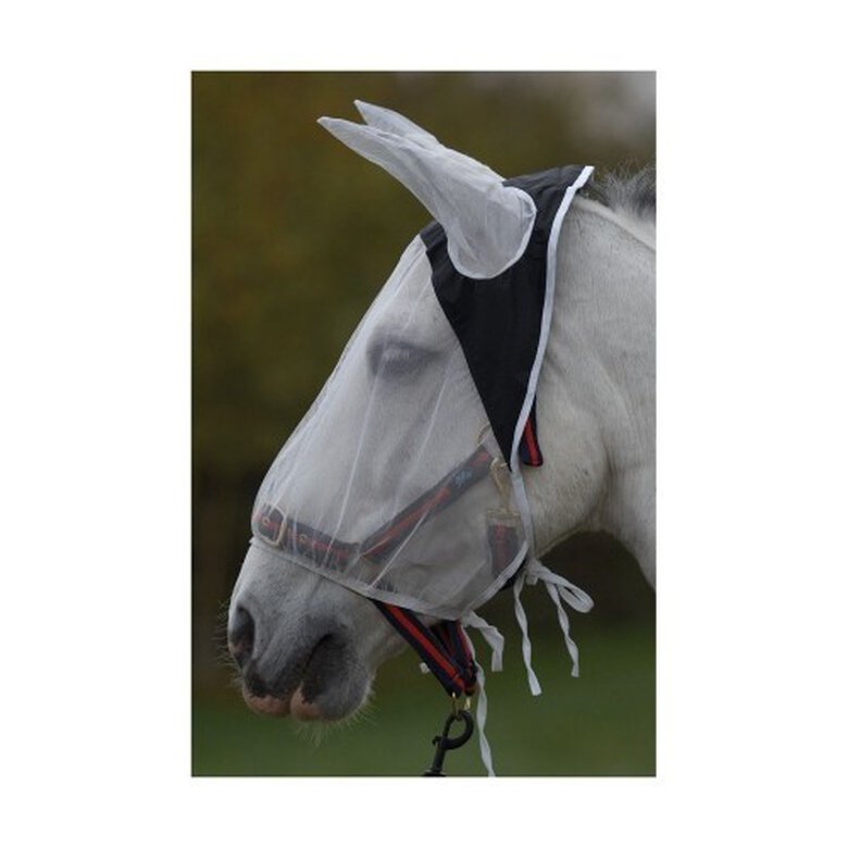 Máscara antimoscas protectora de ojos y orejas para caballos, , large image number null