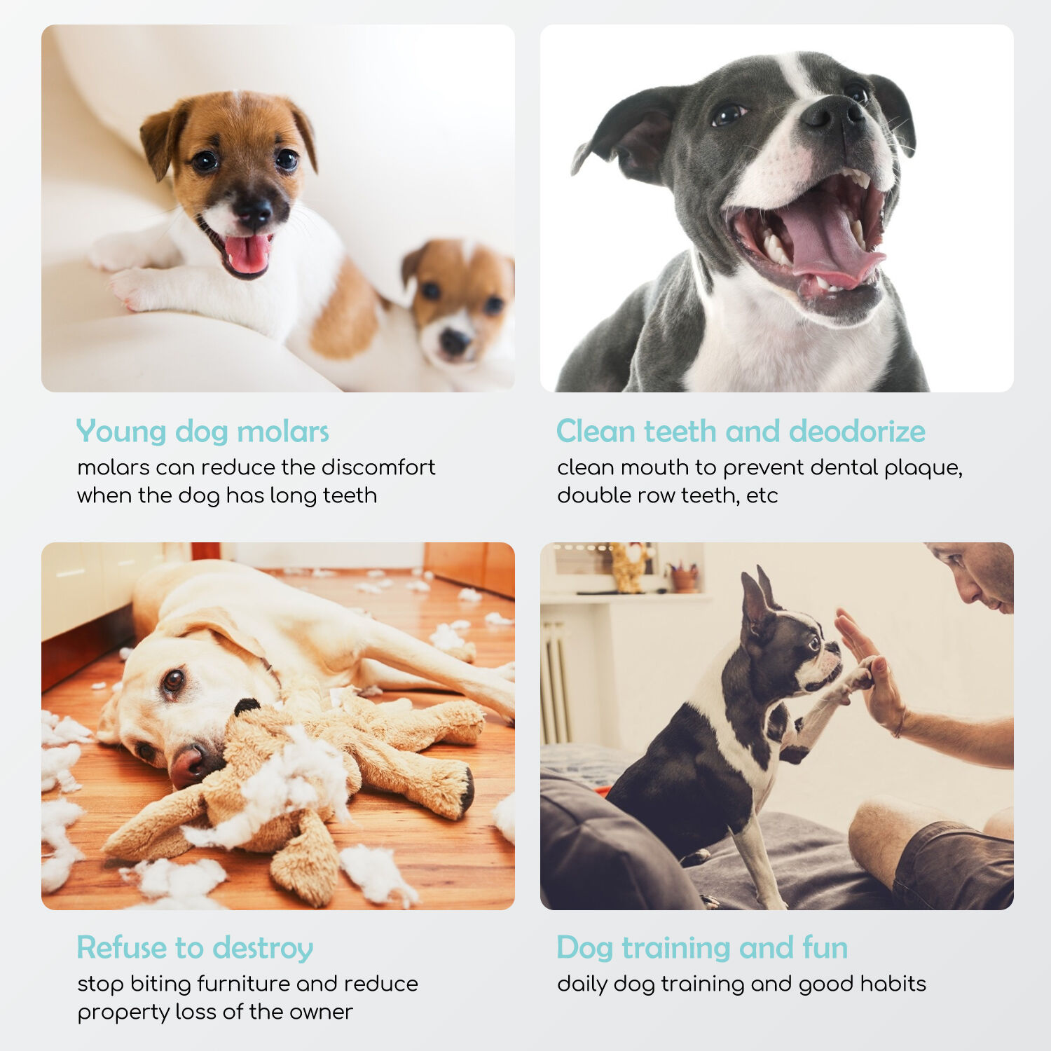 Nobleza - Premios para Perros, Golosina natural para perros con cecina de pollo, mordeduras de carne de pechuga de pollo premium, golosinas para entrenamiento de cachorros, paquete de 6, 600 g, , large Imagen numero 4