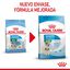 8 kg Royal Canin Starter MotheryBaby Mini pienso para perros, , large indicador imagen numero 3