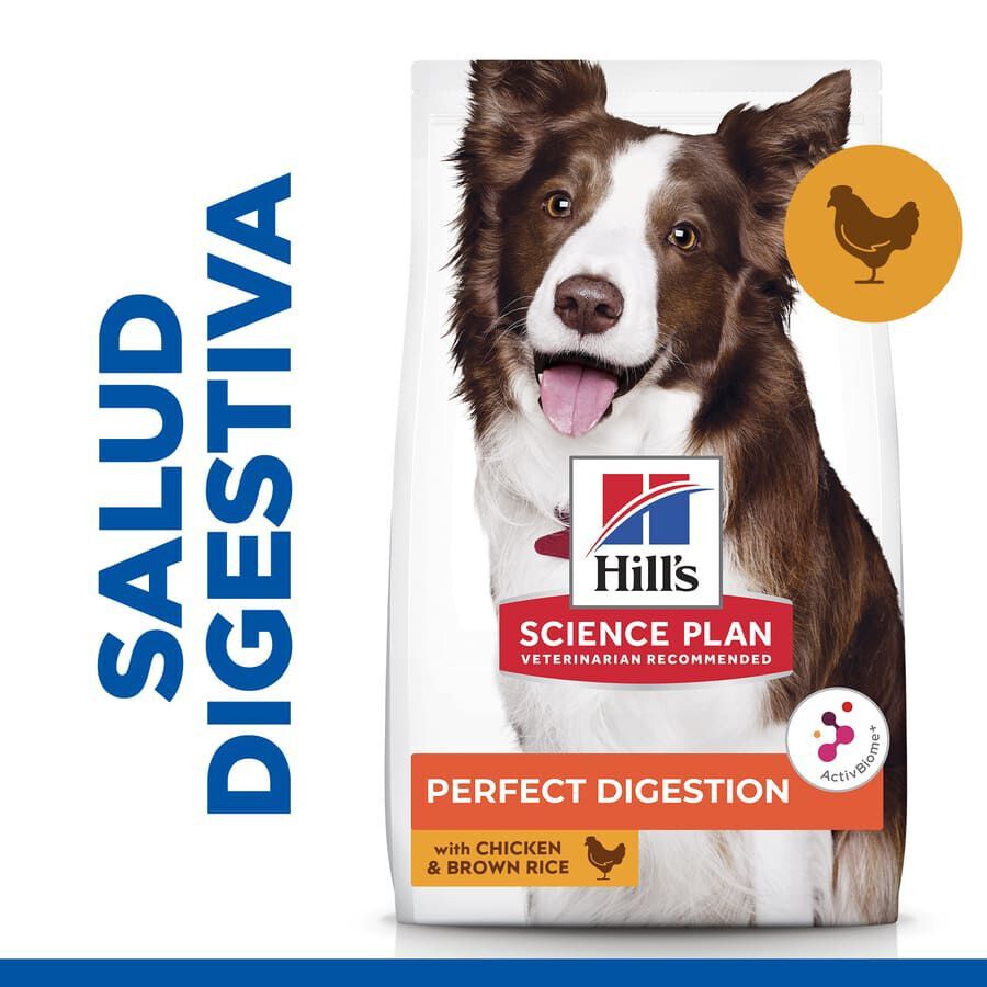 Hill&#039;s Science Plan Perfect Digestion Adult Medium Pollo pienso para perros thumbnail