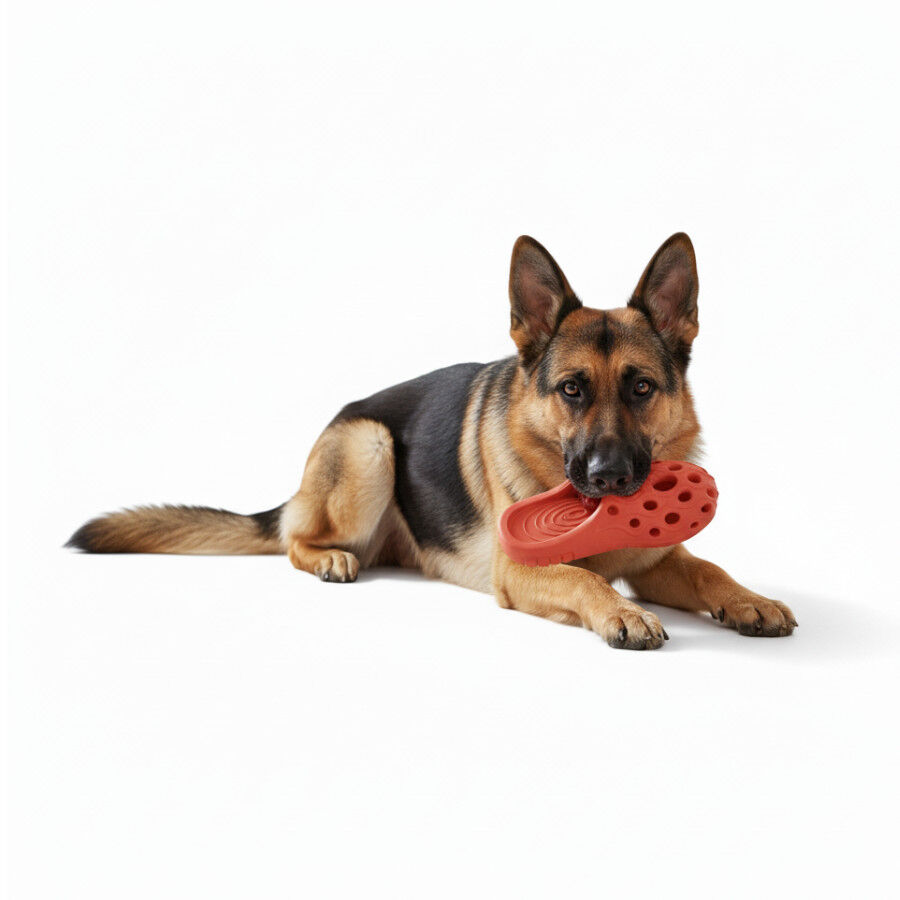 All For Paws Pantuflas Air Pups Juguete para perros &nbsp;, , large Imagen numero 2