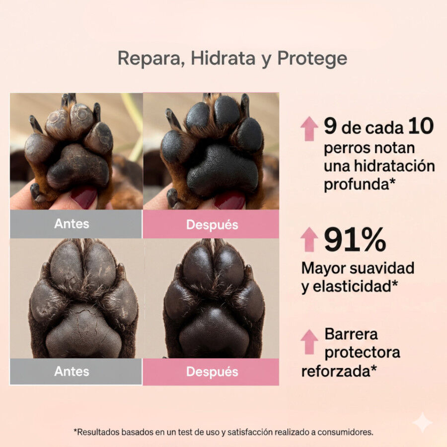 Masco Beauty Kit reparaci&oacute;n almohadillas para perro, , large Imagen numero 5