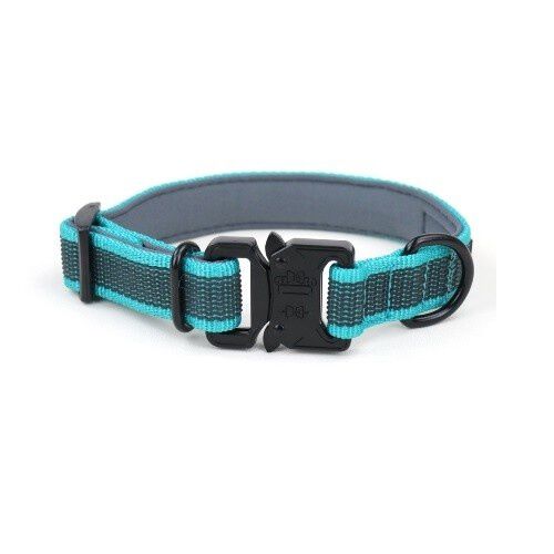 APEX DOG GEAR collar ajustable con cierre met&aacute;lico turquesa para perros, , large Imagen numero 2
