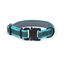 APEX DOG GEAR collar ajustable con cierre metálico turquesa para perros, , large indicador imagen numero 2
